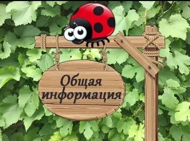 Внимание!!!